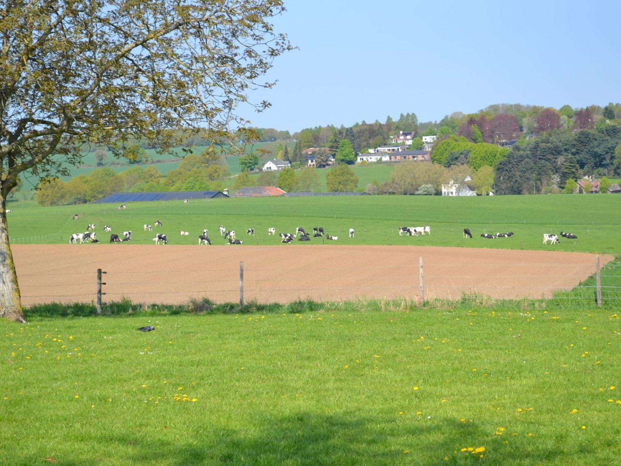 Attractive Farmhouse In South Limburg With Terrace Villa Klimmen Екстериор снимка